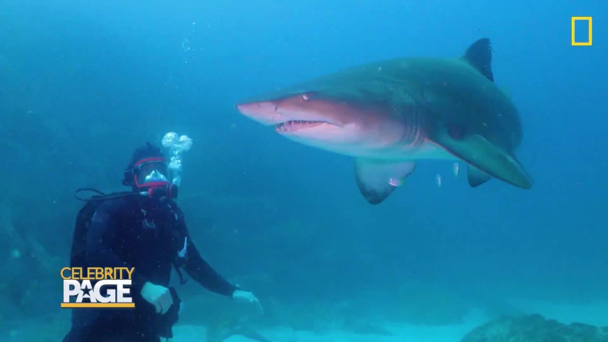 Need Ideas For Your Holiday Weekend? We've Got You Covered