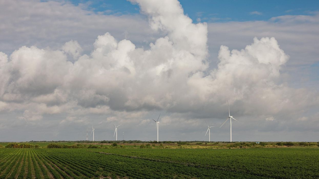 A windfarm on farmland near Brownsville, Texas, on August 26.