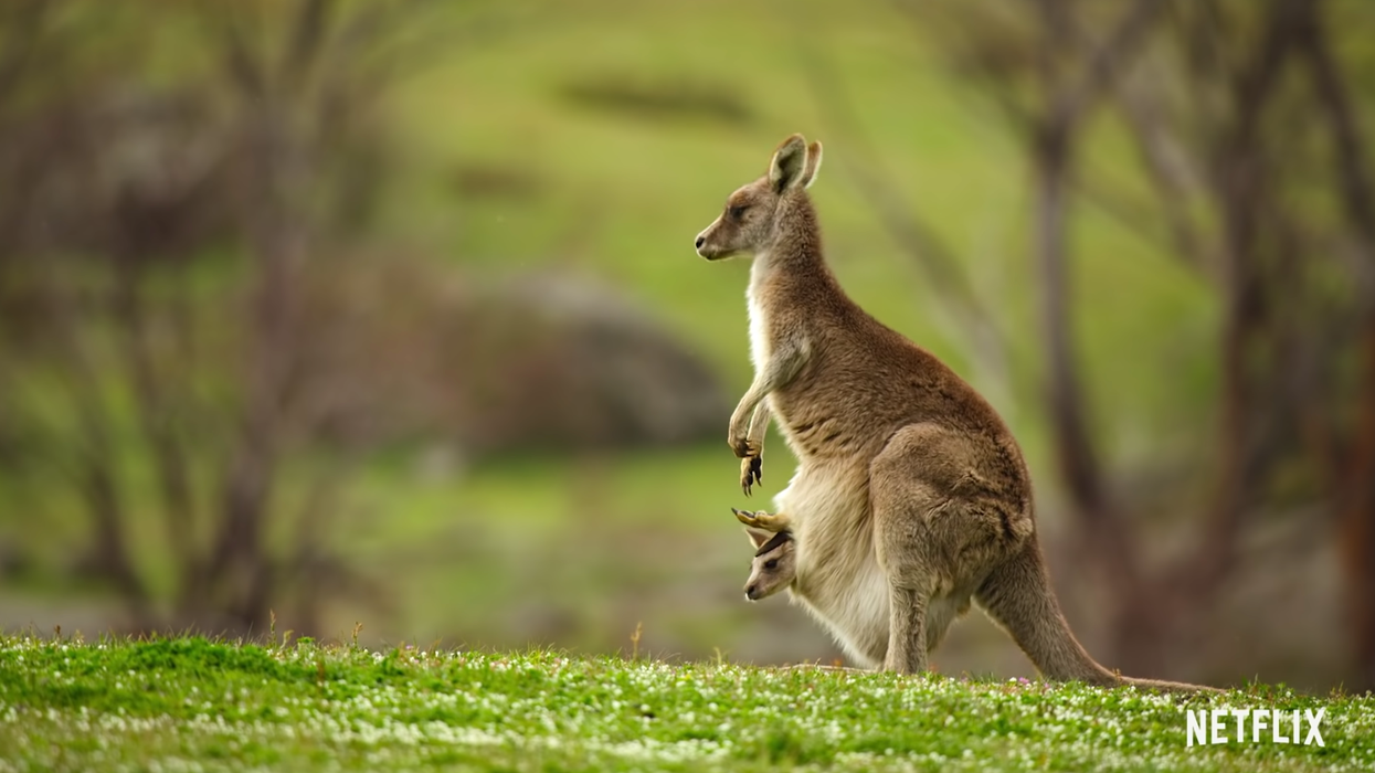 What to Watch Today, November 10th