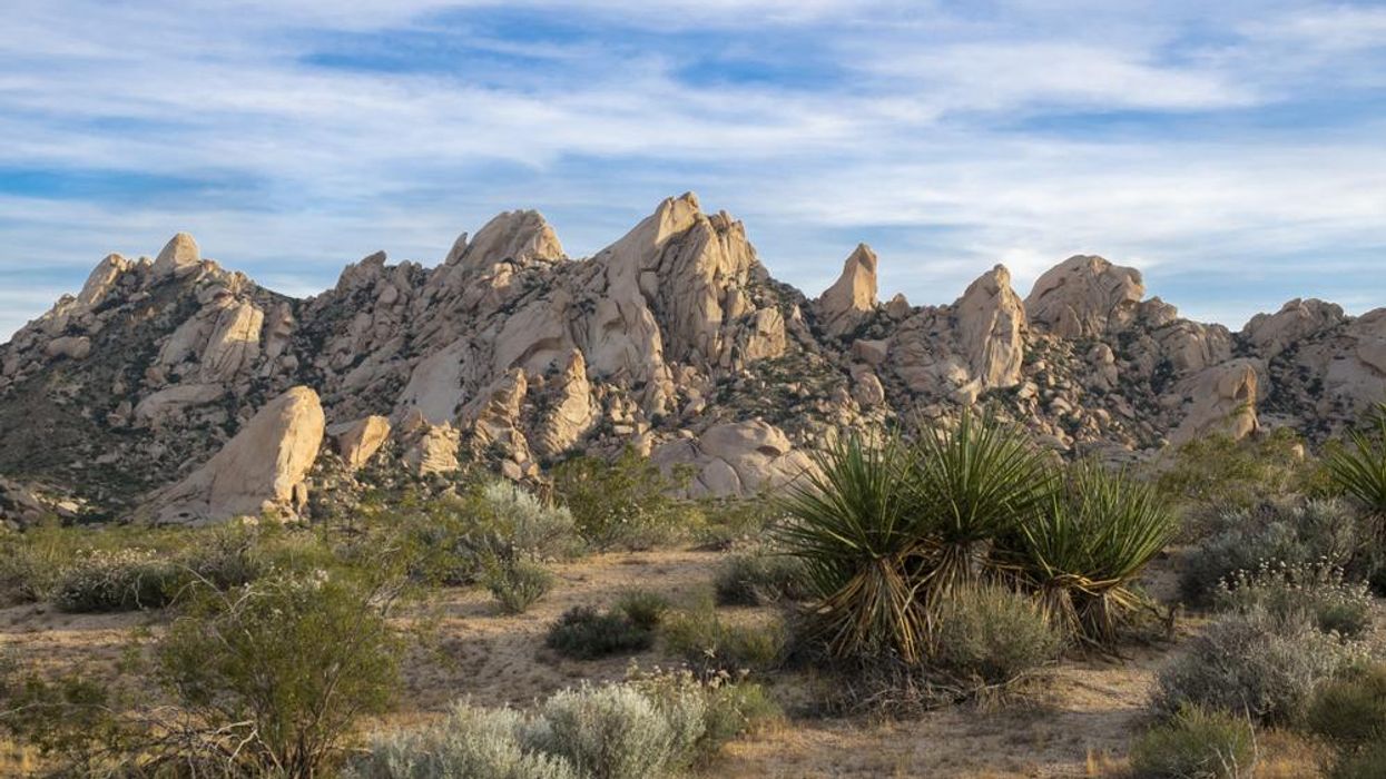 Avi Kwa Ame AKA Spirit Mountain in Nevada