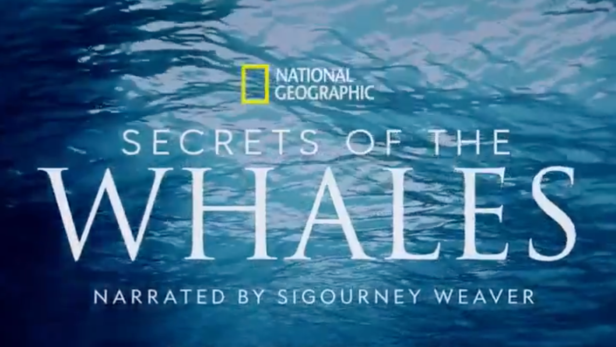 What To Watch On Earth Day