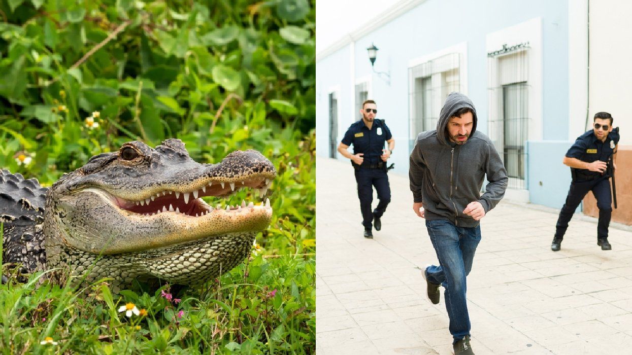 'Florida Man Games' Involve Beer Belly Wrestling and ‘Evading Arrest’