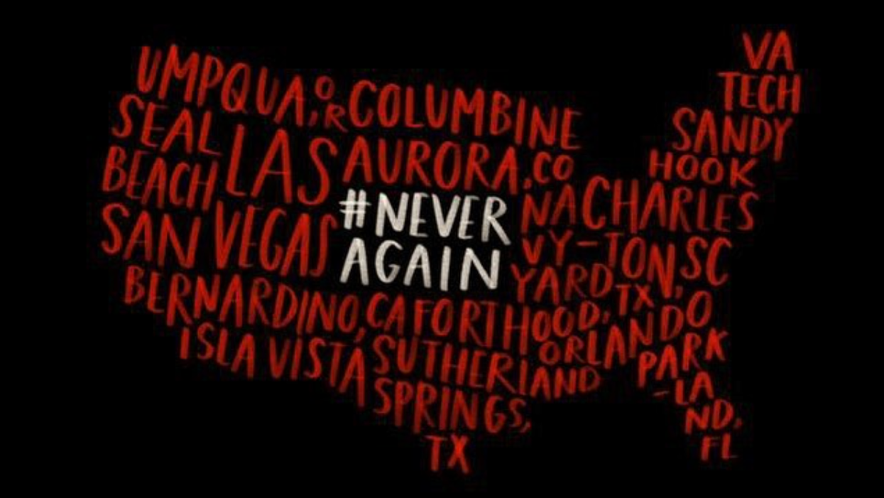 Gun Safety Alliance Hosting Town Hall Session