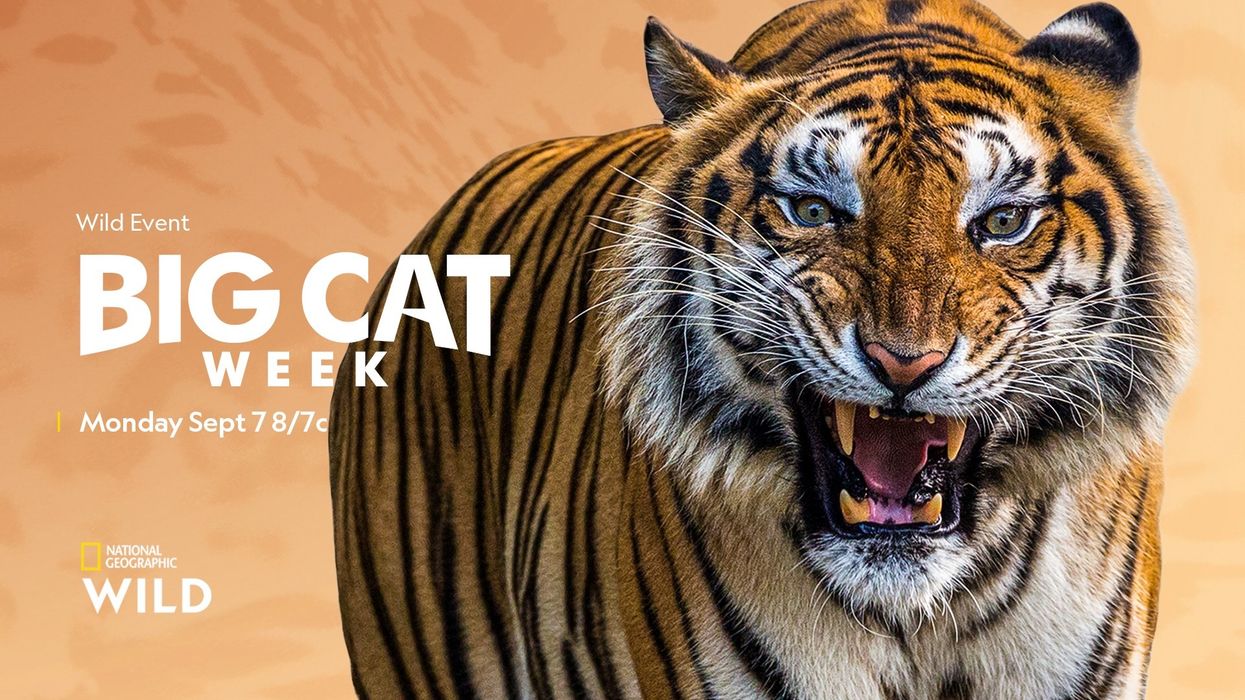 What We're Watching For Monday, September 7th