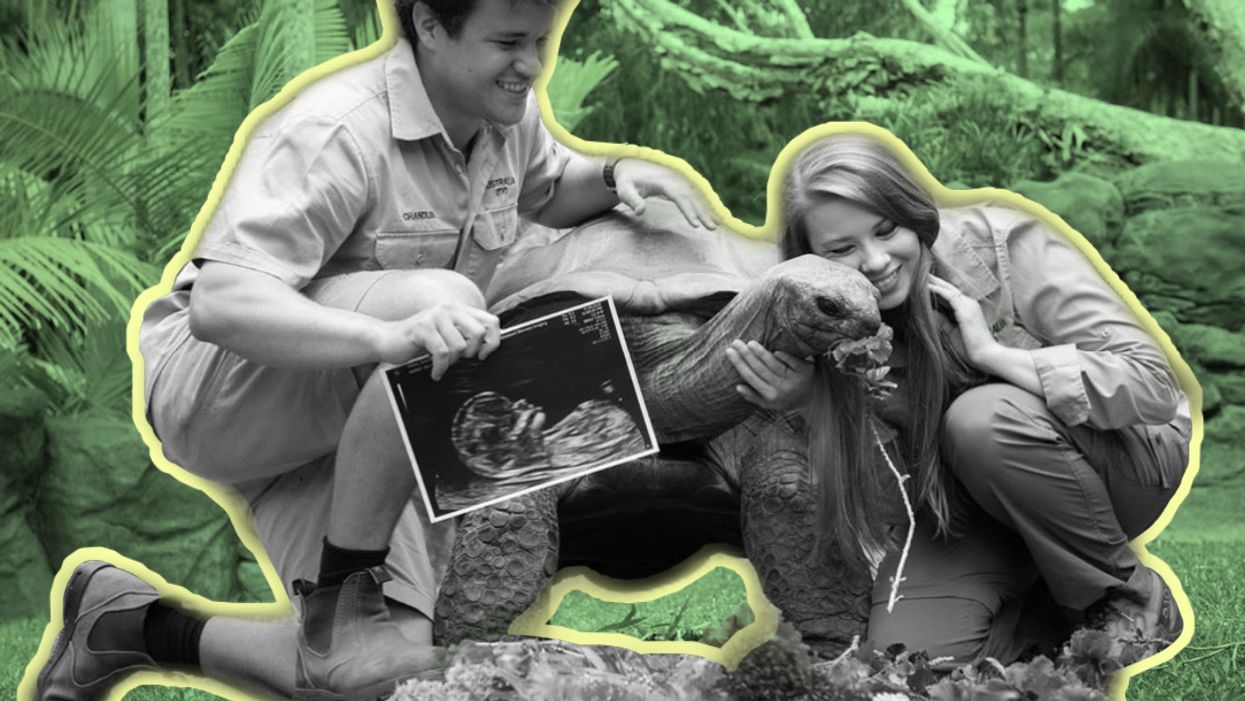 Expecting Bindi Irwin Reveals The Gender of Her Baby
