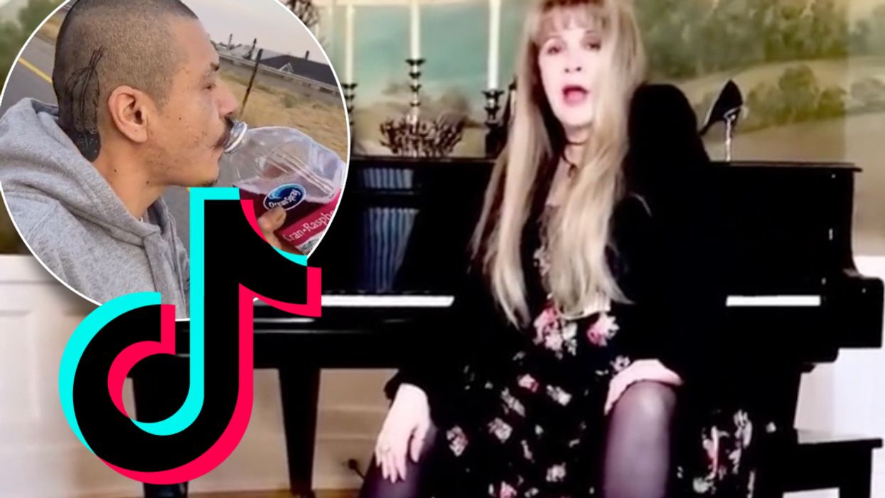 Stevie Nicks Makes Her TikTok Debut
