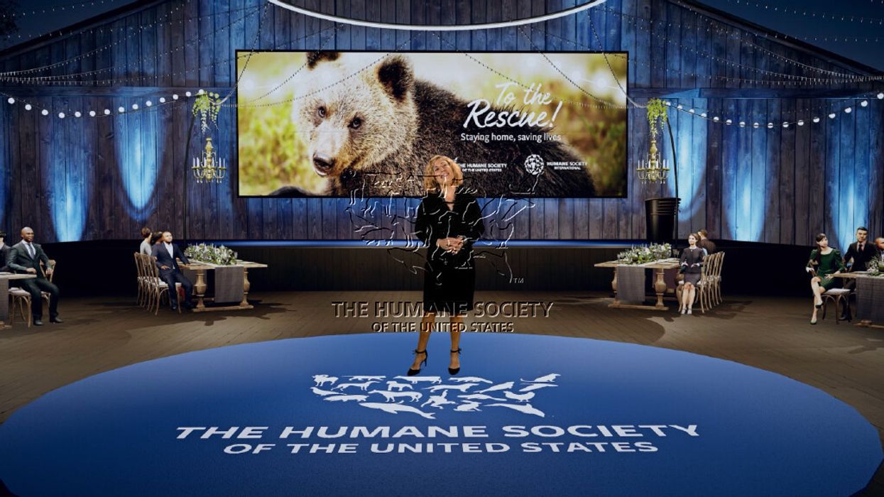 Humane Society Event Goes Virtual, Raises Over $2 Million To Save Animals