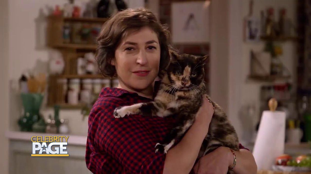 What To Watch: Start The Year With New TV! The Bachelor, Call Me Kat, Last Man Standing & More