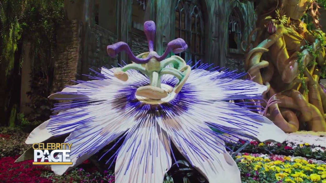 Must-See: Bellagio Las Vegas Debuts New Summer Garden