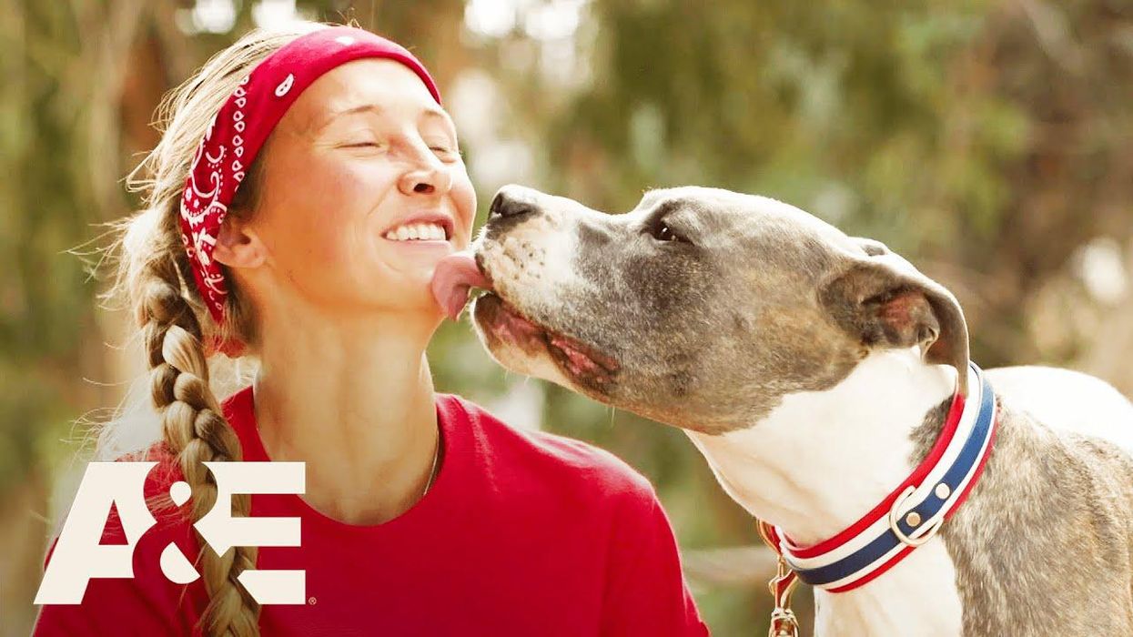 What to Watch Today, June 29th