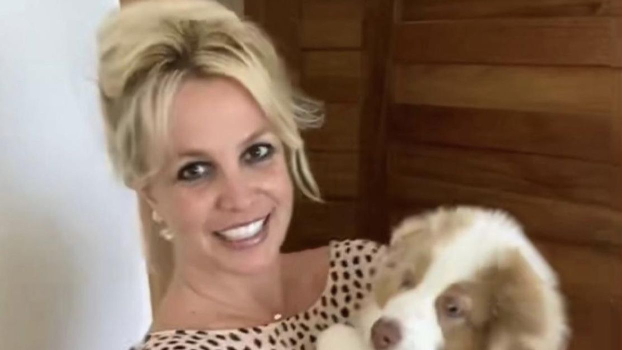 Britney Spears Announces She's Taking a 'Social Media Hiatus'