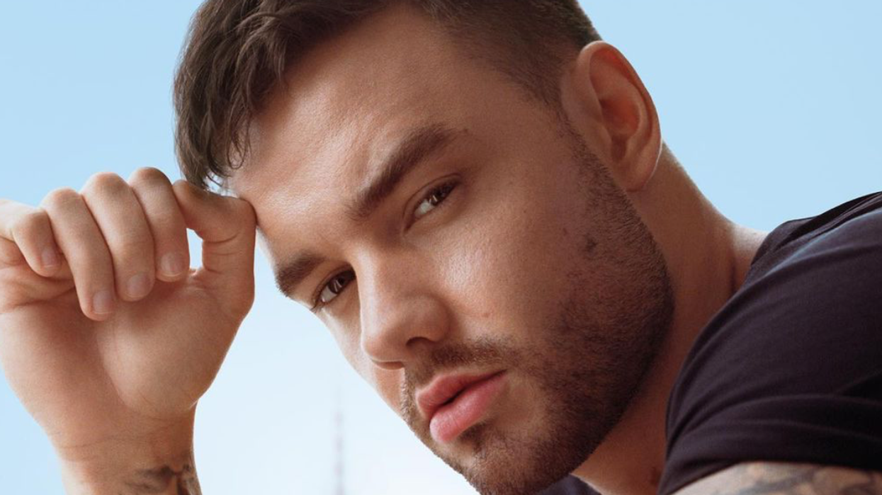 Liam Payne on the "Many Reasons" He Dislikes Zayn Malik