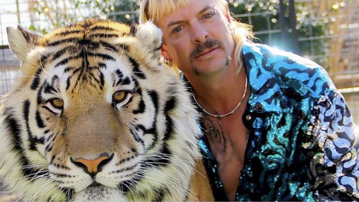 Nicolas Cage Won't Play Joe Exotic as Amazon Scrapes Tiger King Series