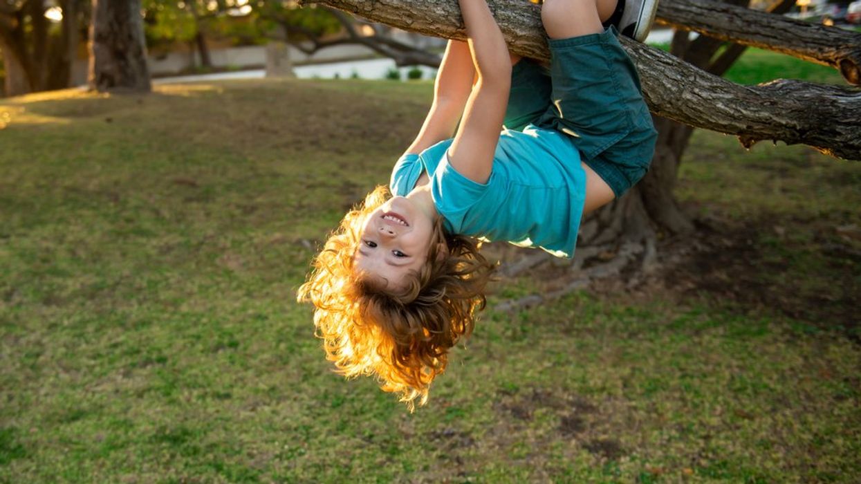 Living Around Trees Could Add 2.5 Years to Your Life