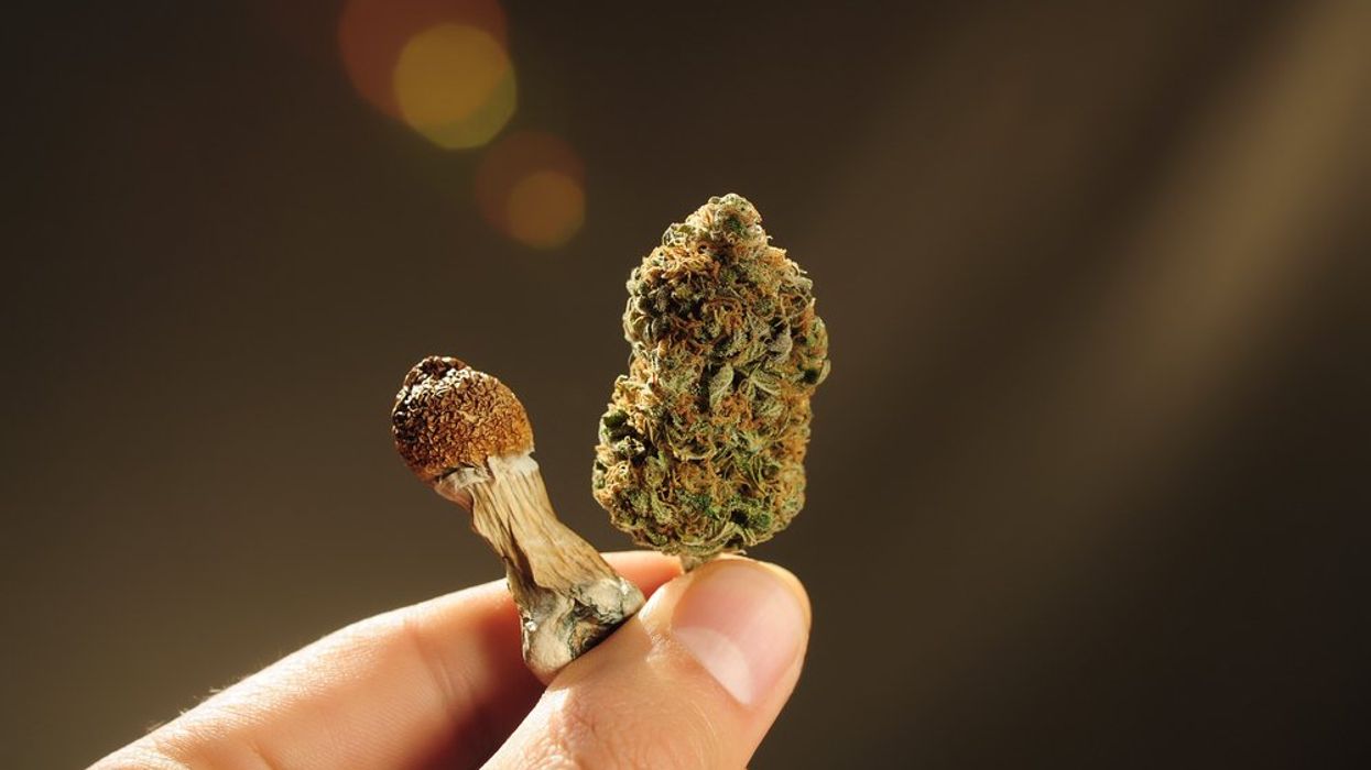 Marijuana and Hallucinogen Use Are at an All-Time High