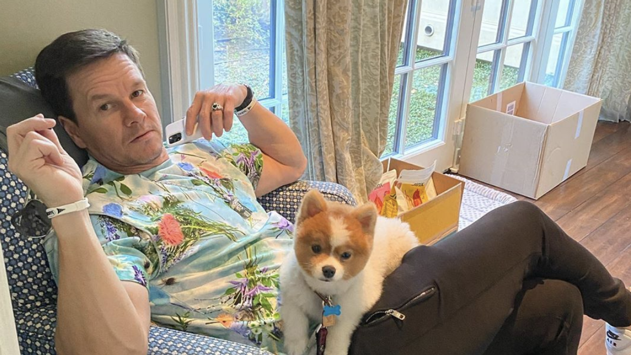 Today's Celebrity Birthdays For June 5th