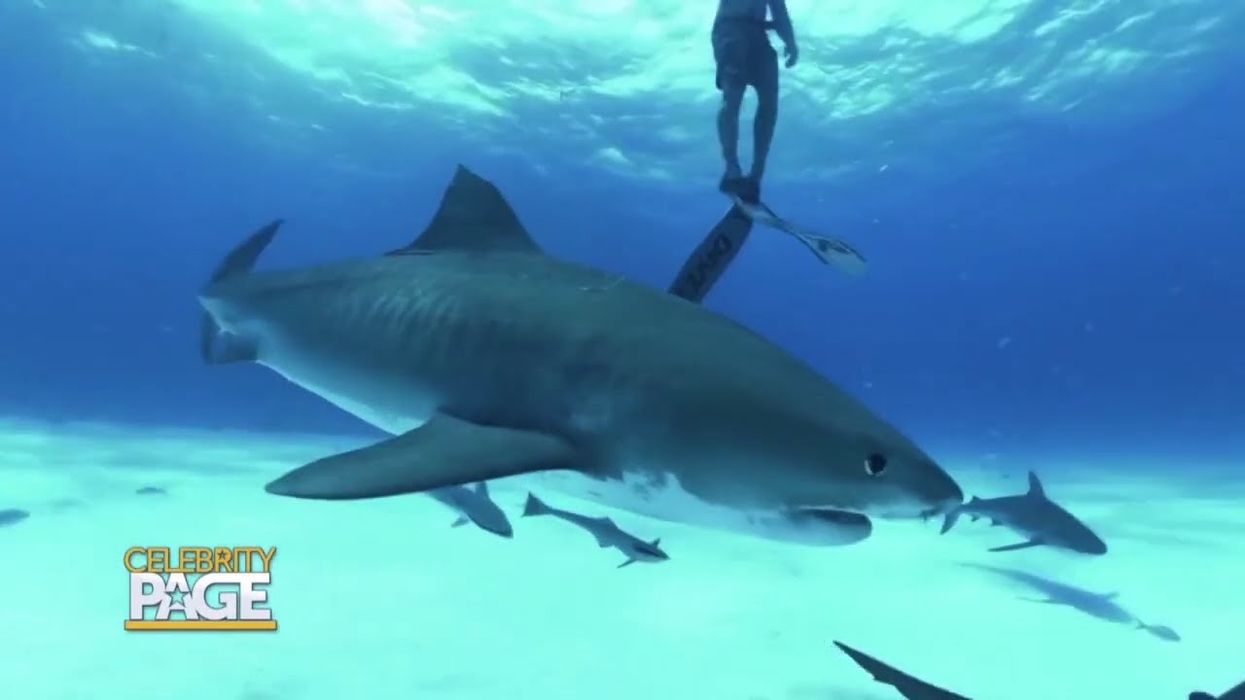 (VIDEO) Go Under The Sea In The Desert