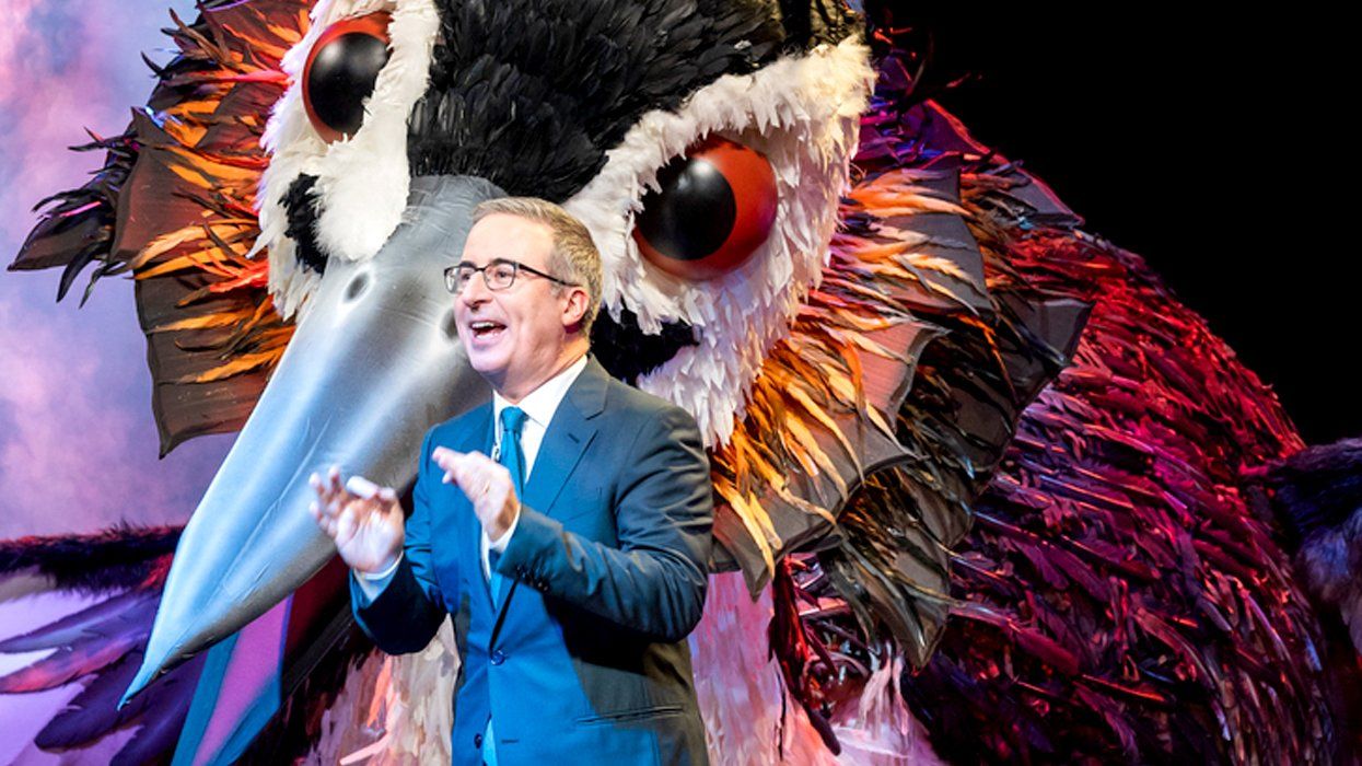 Puteketeke Bird John Oliver