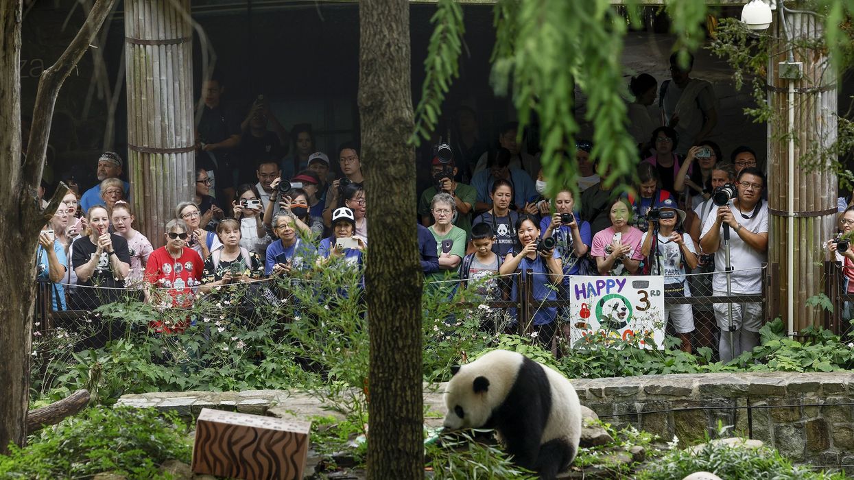 Smithsonian National Zoo