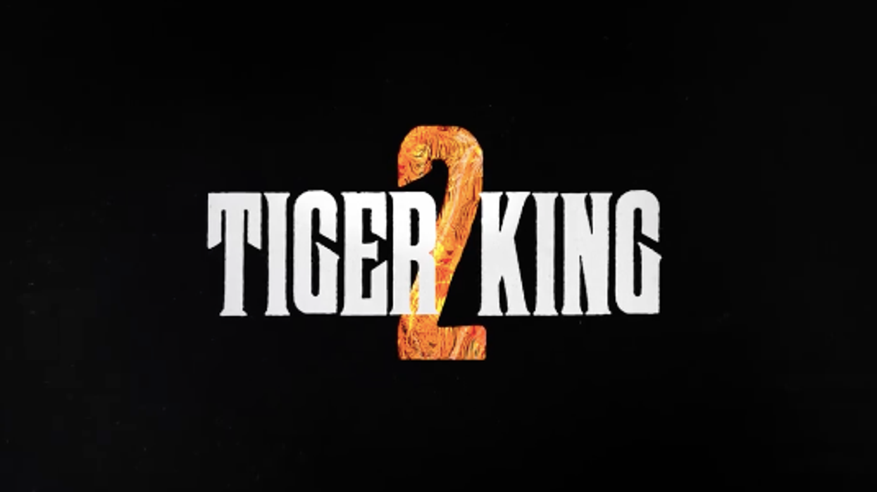 What To Watch Today, November 17th