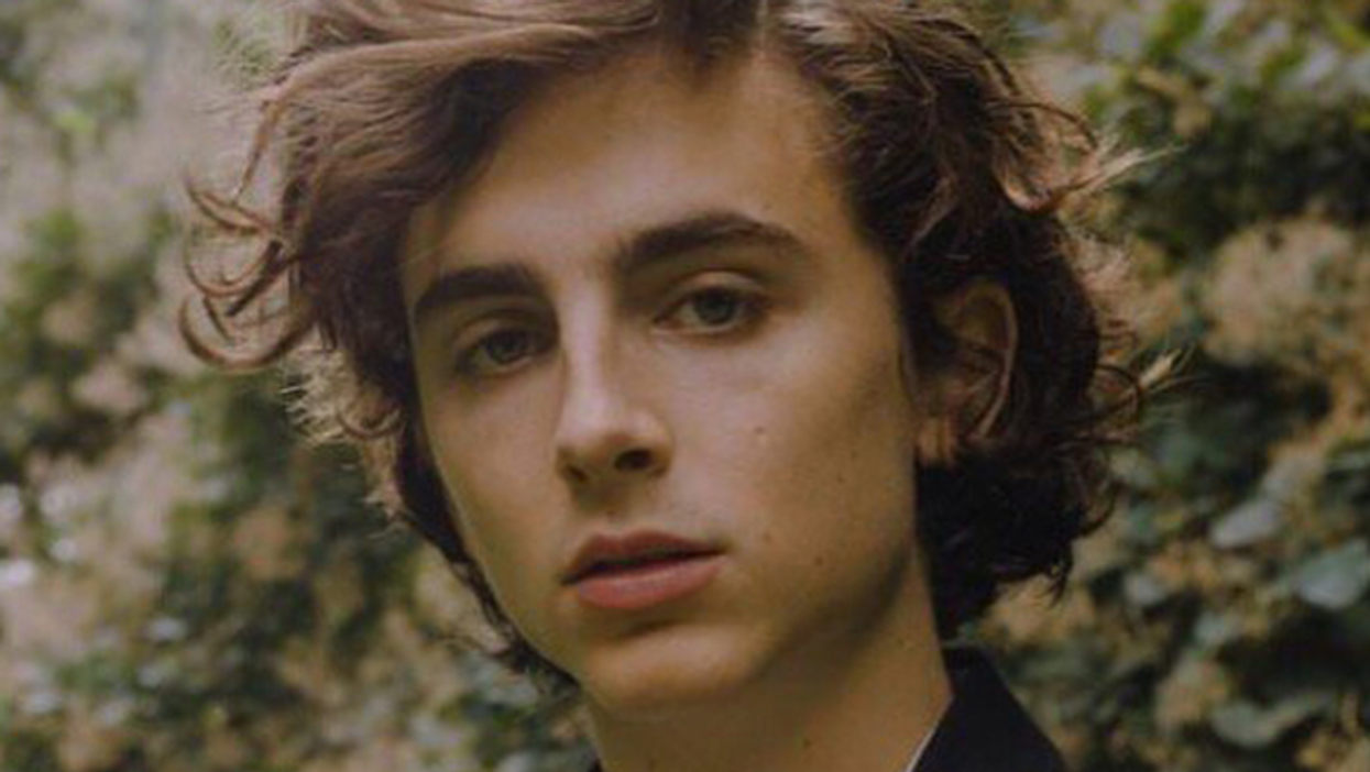 Timothée Chalamet, Tom Holland Rumored For Willy Wonka Prequel