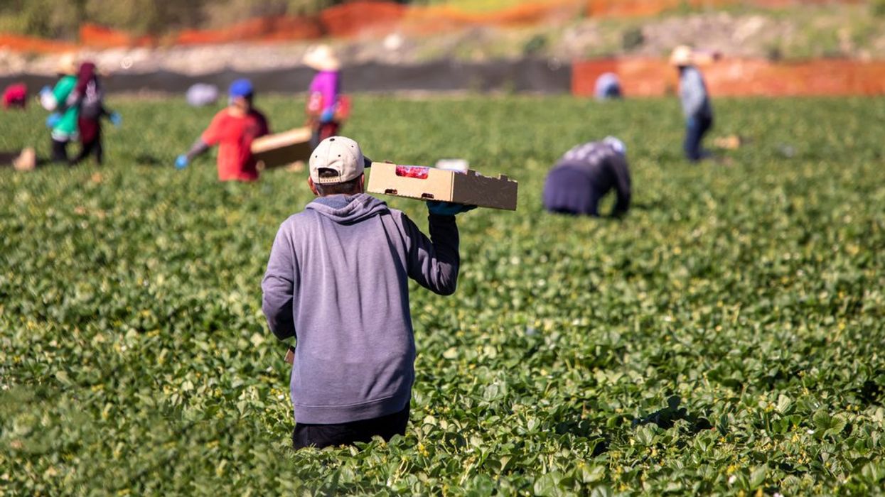 Your Dinner May Have Been Provided by a Forced Laborer